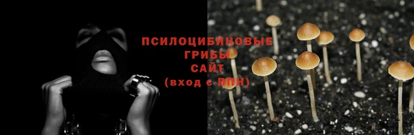 мескалин Дмитровск