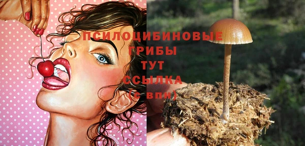 винт Дмитров