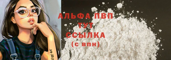 винт Дмитров